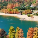 婺城区逸境·宋酒店(古子城步行街店) - 金华市旅游 缩略图 1