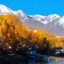 拉萨八廓街 - 拉萨市旅游 缩略图 4