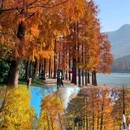 鹿女湖 - 金华市旅游 缩略图 1