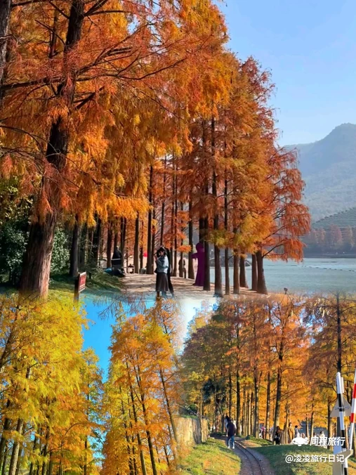 鹿女湖 - 金华市旅游