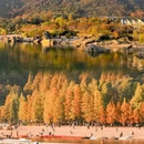 鹿女湖 - 金华市旅游 缩略图 3
