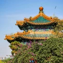 重庆园博园 - 重庆市旅游 缩略图 1