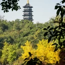 重庆园博园 - 重庆市旅游 缩略图 8