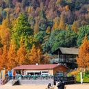 鹿女湖 - 金华市旅游 缩略图 5