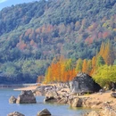 鹿女湖 - 金华市旅游 缩略图 6