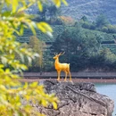 鹿女湖 - 金华市旅游 缩略图 8