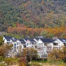 鹿女湖 - 金华市旅游 缩略图 9