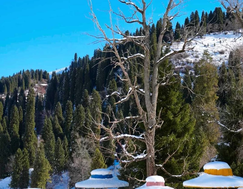 库尔德宁景区 - 伊犁哈萨克自治州旅游 1