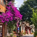 丽江竹逸轩·悦舍悠庭(丽江古城四方街店) - 丽江旅游 缩略图 5