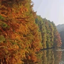 玄武湖景区 - 南京市旅游 缩略图 1