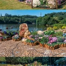 深圳市仙湖植物园 - 深圳市旅游 缩略图 3