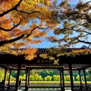 杭州西湖 - 杭州市旅游 缩略图 5