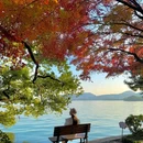 杭州西湖 - 杭州市旅游 缩略图 4
