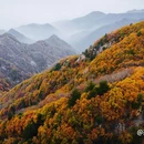 秦岭风景区 - 西安市旅游 缩略图 3