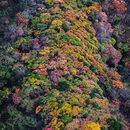 秦岭风景区 - 西安市旅游 缩略图 6