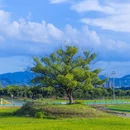 婺城区逸境·宋酒店(古子城步行街店) - 金华市旅游 缩略图 3