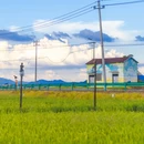 婺城区逸境·宋酒店(古子城步行街店) - 金华市旅游 缩略图 6
