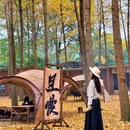 银杏树下今天露营地 - 成都市旅游 缩略图 4
