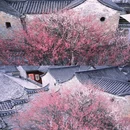 婺城区逸境·宋酒店(古子城步行街店) - 金华市旅游 缩略图 1