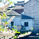 婺城区逸境·宋酒店(古子城步行街店) - 金华市旅游 缩略图 8