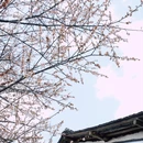 婺城区逸境·宋酒店(古子城步行街店) - 金华市旅游 缩略图 4