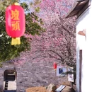 婺城区逸境·宋酒店(古子城步行街店) - 金华市旅游 缩略图 3