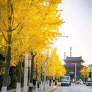 中国科学院武汉植物园 - 武汉市旅游 缩略图 7