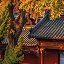 M时光智慧酒店(合肥南站骆岗中央公园店) - 合肥市旅游 缩略图 5