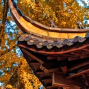 M时光智慧酒店(合肥南站骆岗中央公园店) - 合肥市旅游 缩略图 8