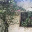 苏州旅游 缩略图 8