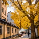 成都旅游 缩略图 2