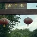 杭州旅游 缩略图 5