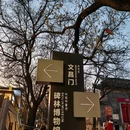 西安旅游 缩略图 9