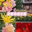 全季酒店(重庆西站站前广场店) - 重庆市旅游 缩略图 2