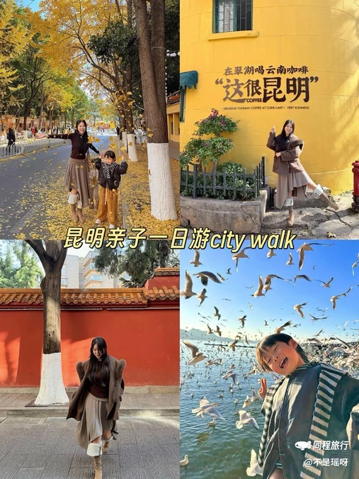云南市 - 日本旅游