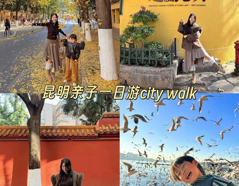 云南市 - 日本旅游 1
