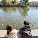云南市 - 日本旅游 缩略图 9