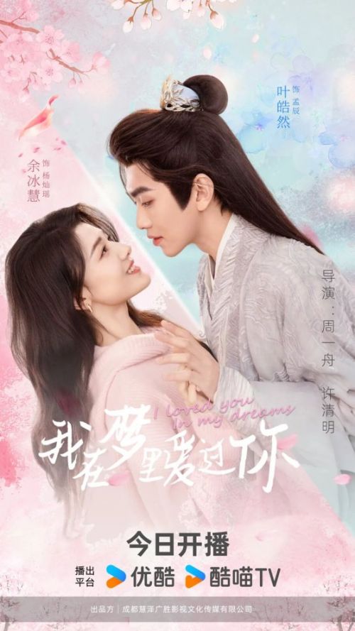 我在梦里爱过你