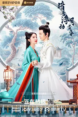 隐武者：大破青龙会