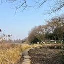 杭州旅游 缩略图 9