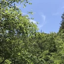 杭州旅游 缩略图 5