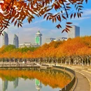 上海旅游 缩略图 5