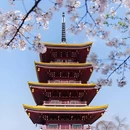 武汉旅游 缩略图 4