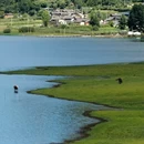 丽江旅游 缩略图 8