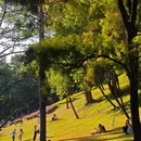 广州旅游 缩略图 7