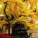 北京旅游 缩略图 9