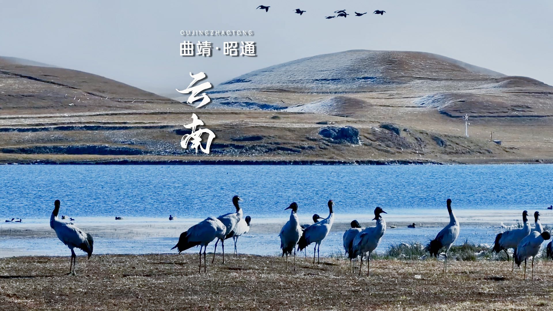 大山包景区 - 昭通市旅游