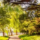 北京旅游 缩略图 2