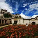 拉萨旅游 缩略图 5
