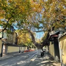 南京旅游 缩略图 8